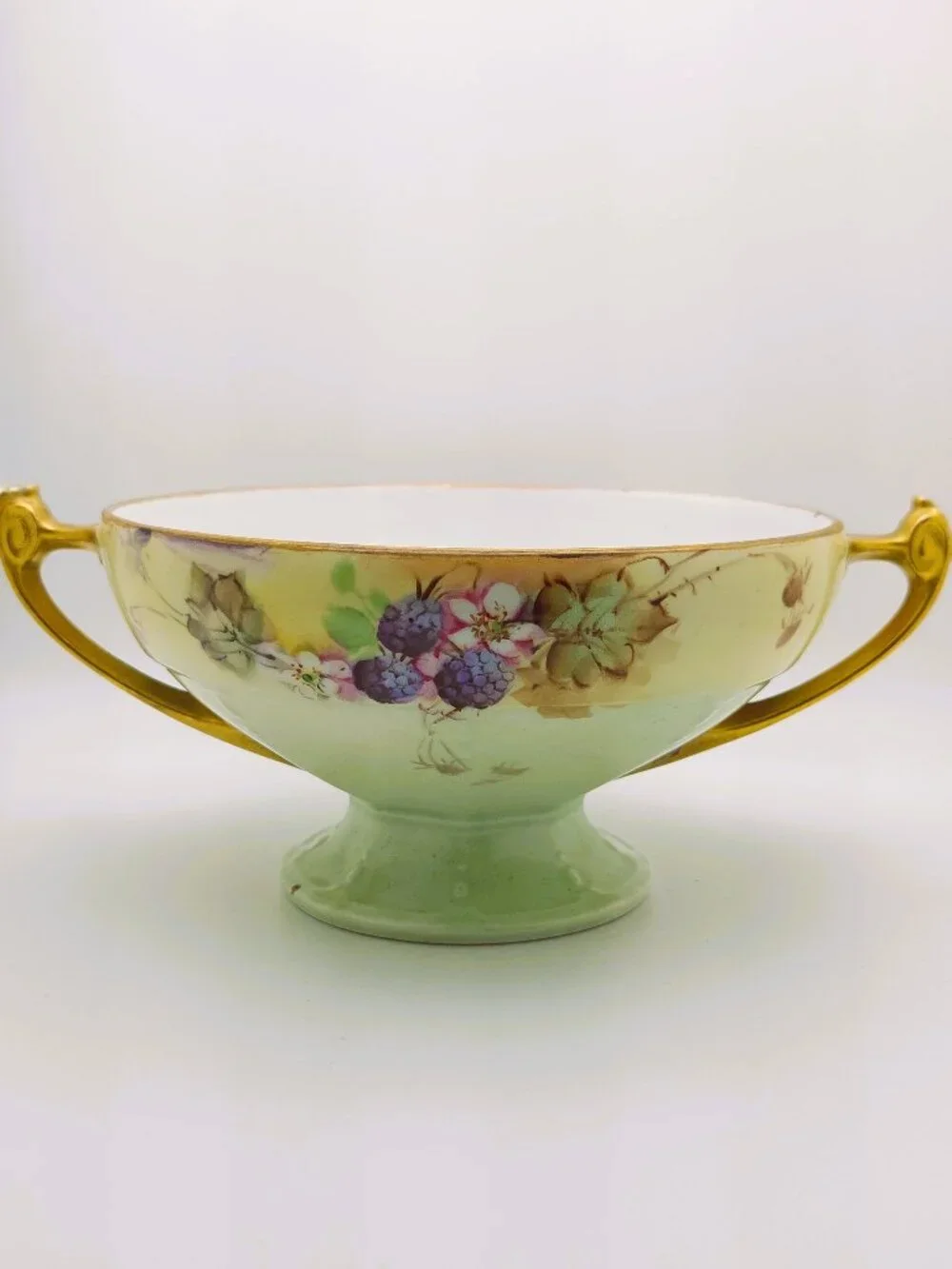 Antique MZ Austria Moritz Zdekauer Blackberry Floral Pedestal Bowl Gold Handles